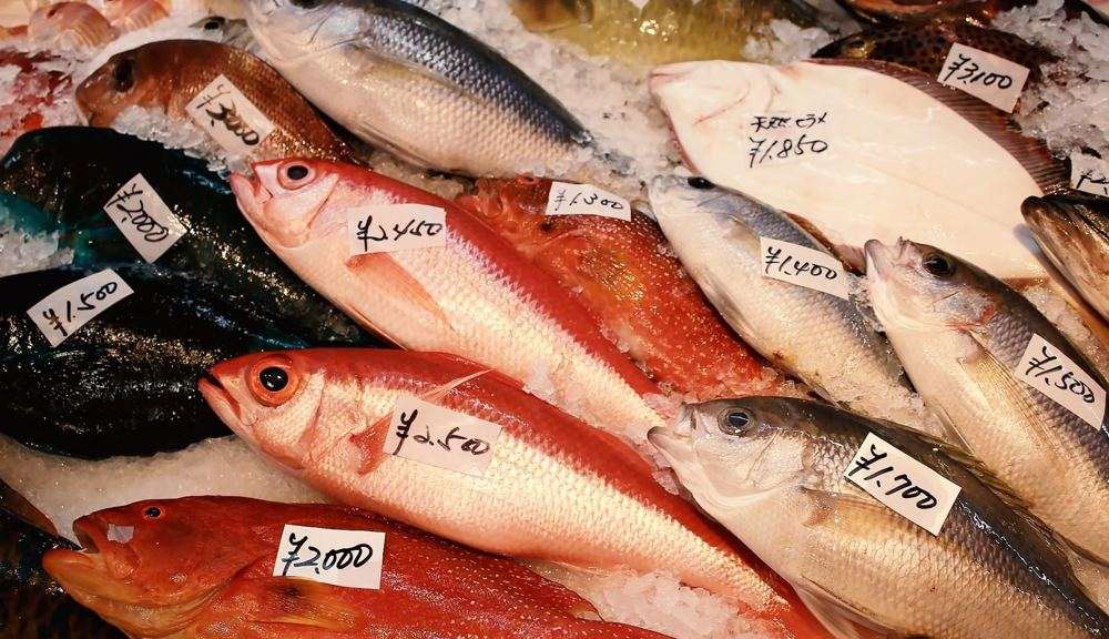 氷の上に並ぶ赤い魚